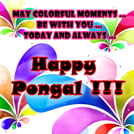 Bright&Colorful Pongal